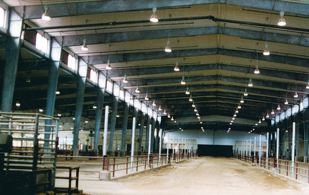 Inside an Agricultural Metal Building